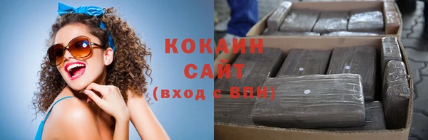 стафф Алзамай