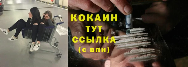 стафф Алзамай