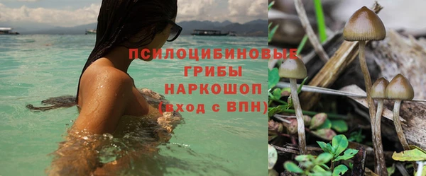 PSILOCYBIN Алексин