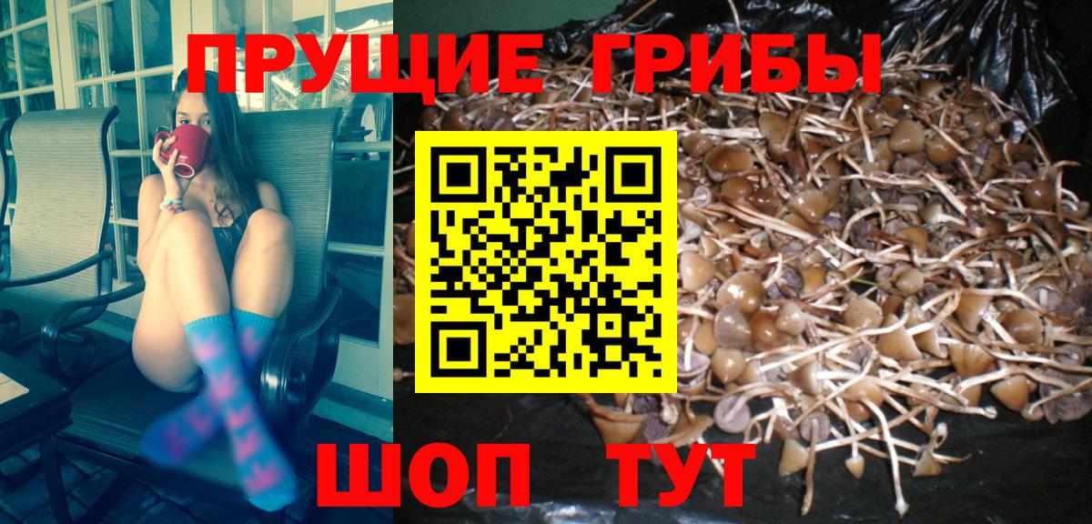 Псилоцибиновые грибы Psilocybe  Галлюциногенные грибы Magic Shrooms  Вход с VPN  Шатура 