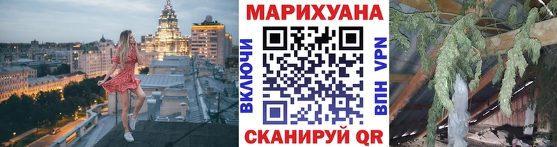 Конопля конопля Шатура